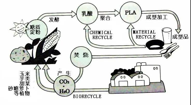 可生物降解環(huán)保塑料可以回收再利用嗎？(圖4)