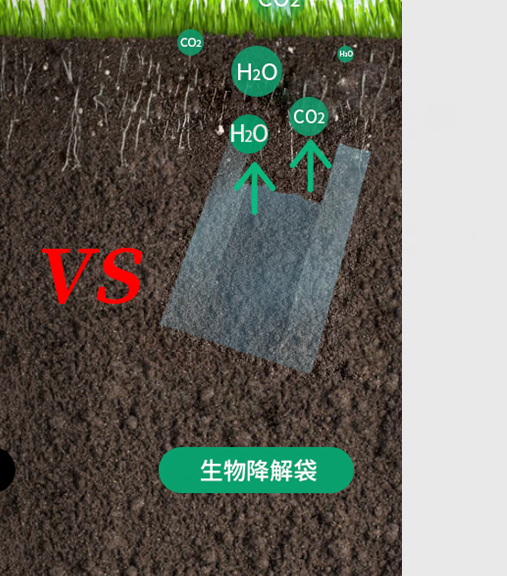 可生物降解環(huán)保塑料可以回收再利用嗎？(圖1)