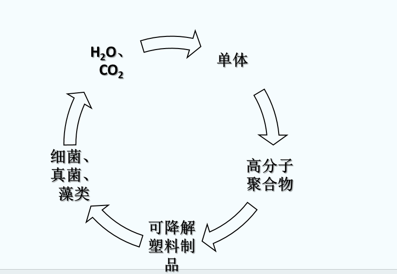 什么是可生物降解塑料？(圖1)
