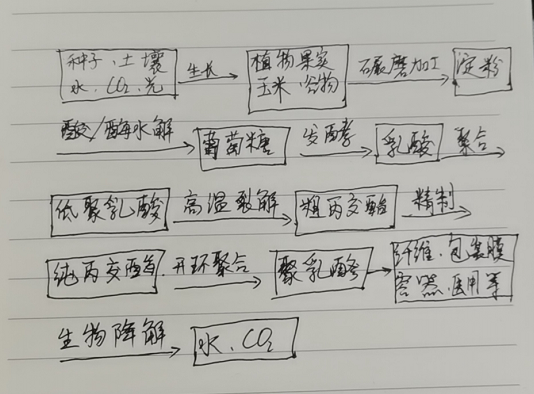 生物降解袋中的PLA是如何制得的？(圖1)