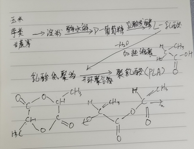 生物降解袋中的PLA是如何制得的？(圖2)