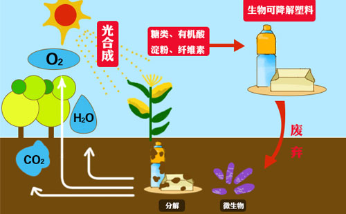 知名廠家?guī)銇砜纯山到獍b袋的市場優(yōu)勢(shì)(圖1)